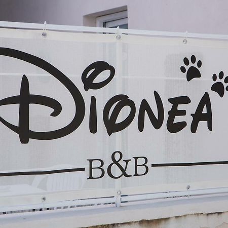 B&B Dionea Santa Maria di Castellabate Zewnętrze zdjęcie