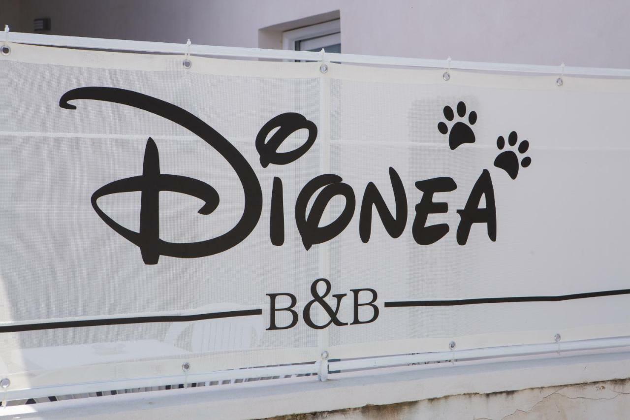 B&B Dionea Santa Maria di Castellabate Zewnętrze zdjęcie
