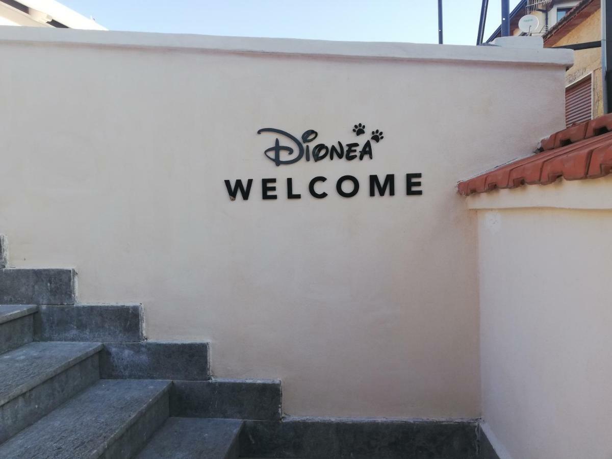 B&B Dionea Santa Maria di Castellabate Zewnętrze zdjęcie